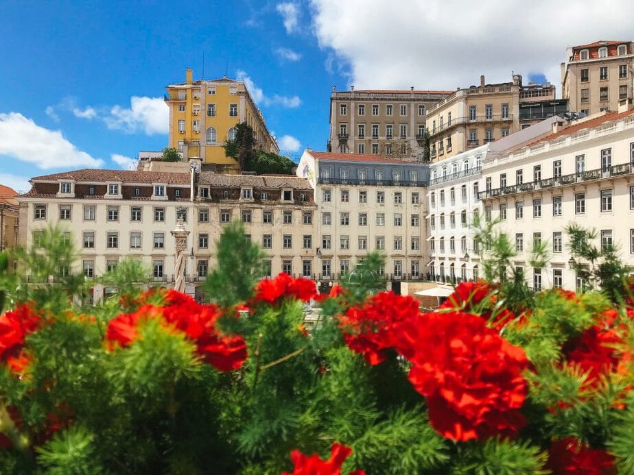 Red flowers set in front of traditional style buildings in Lisbon, Portugal on a sunny day