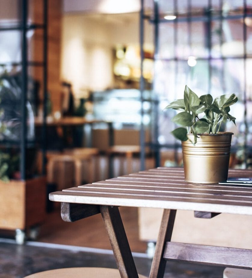 Picture of a potted plant on a desk with an office in the background at a coworking space in Kuala Lumpur